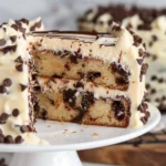 Chocolate Chip Cake